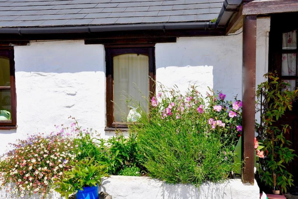 Stunning Annexe 1 Luxury Bedroom, Eating Area & Bathroom Only! Truro Dış mekan fotoğraf