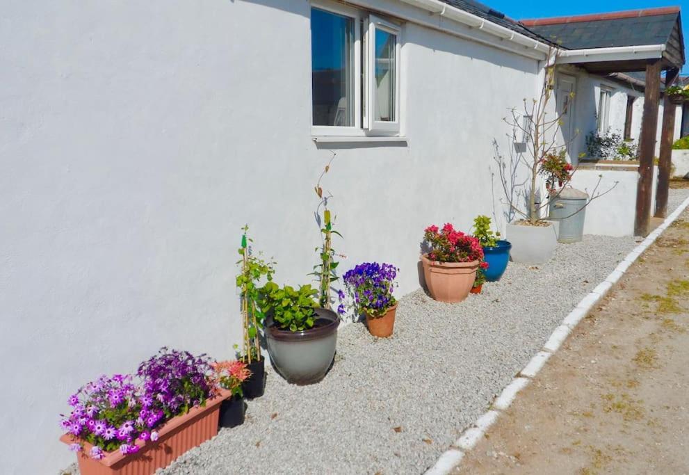 Stunning Annexe 1 Luxury Bedroom, Eating Area & Bathroom Only! Truro Dış mekan fotoğraf